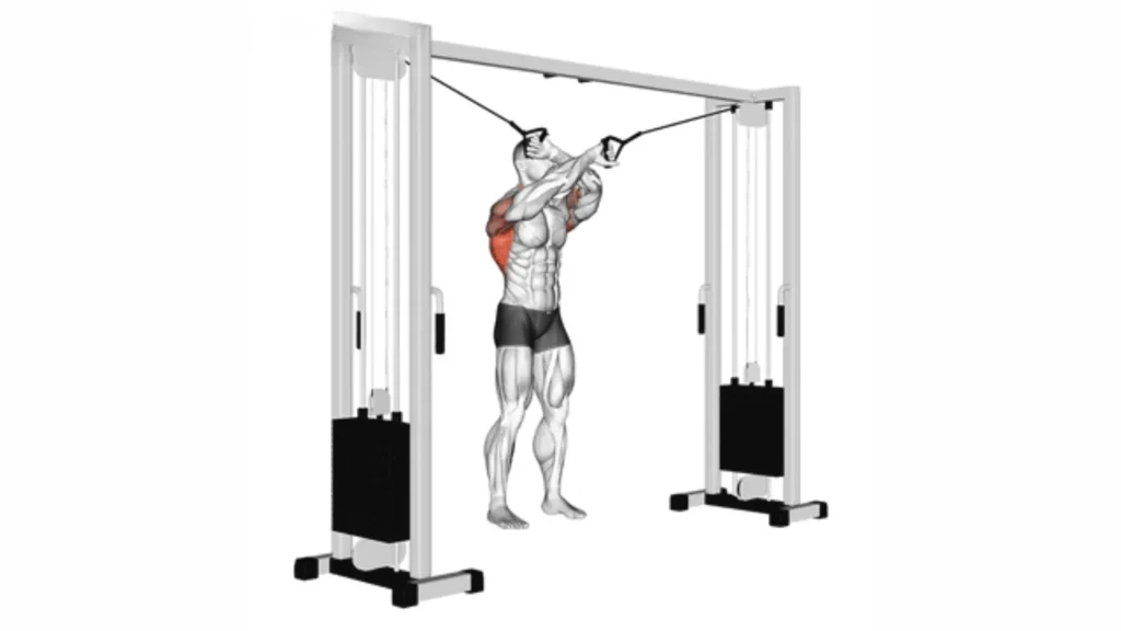 Overview of Cable Back Exercises